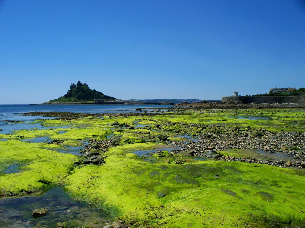 Wheal Rodney Holiday Park マラザイオン 部屋 写真